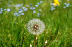 赤峰薩隆理發(fā)店地址電話號碼