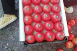 赤峰馨悅草莓園電話多少號(hào)