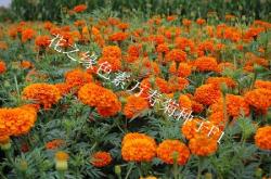 赤峰花染文具店電話地址查詢