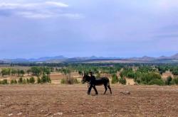 赤峰敖漢結(jié)婚酒店電話號碼多少