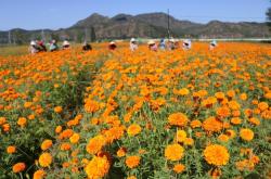 承德六溝到赤峰拼車電話是多少