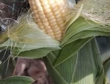 赤峰收購舊鞋的電話號碼是多少