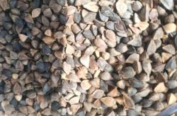 赤峰蕎麥面廠家電話地址查詢