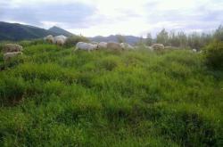 赤峰維嘉中介電話多少號碼