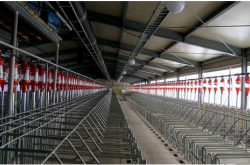 赤峰德贏養(yǎng)殖設(shè)備廠電話號碼