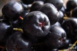 赤峰收葡萄酒電話是多少號