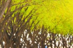 赤峰冠達汽修電話多少號碼