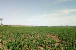 赤峰乃林鎮(zhèn)學(xué)校電話號(hào)碼是多少