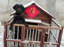 赤峰寄養(yǎng)觀賞魚電話號碼查詢