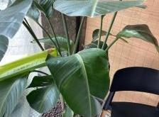 赤峰徐記咸菜館電話號(hào)碼多少