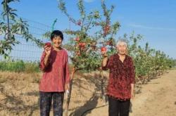 赤峰百柳采摘園電話號碼查詢
