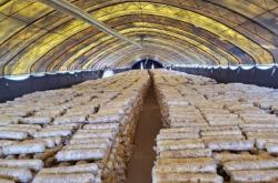 赤峰林西縣翔宇網(wǎng)吧電話(huà)號(hào)碼