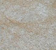 赤峰稻谷最新價(jià)格