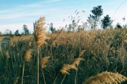 赤峰元寶山中餐廳電話(huà)號(hào)碼