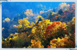 赤峰林東拖拉機(jī)銷售電話號(hào)碼