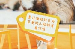 赤峰萌寵互動(dòng)中心電話號(hào)碼查詢