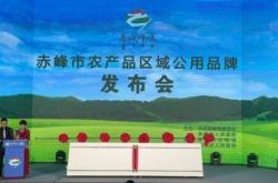 赤峰振興磚瓦廠電話號碼查詢