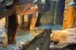 赤峰市海底樂園電話號(hào)碼查詢