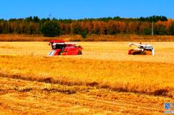 赤峰華聯(lián)稻草人電話號碼查詢