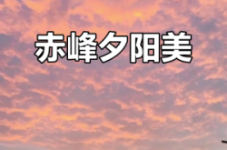 赤峰壹豐代駕電話號(hào)碼多少