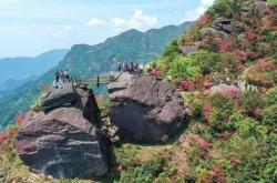 赤峰元寶山花卉基地電話號碼