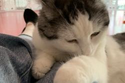 赤峰吳球球咖啡屋電話號碼