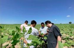 赤峰無人機旅游基地電話號碼