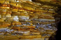 赤峰五洲營(yíng)業(yè)部電話(huà)