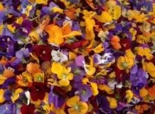 赤峰解憂花鋪電話號(hào)碼多少號(hào)