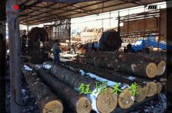 赤峰木頭回收廠家電話多少號