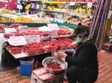 赤峰賣橘子的地方電話號碼是多少