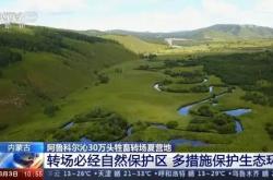 赤峰阿魯科爾沁駕校電話號碼