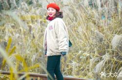 赤峰蒼蠅神店電話多少號碼