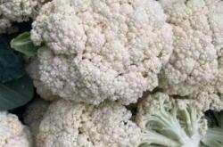 赤峰市收購菜花聯(lián)系電話號碼