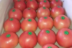 赤峰佳友草莓園電話號碼查詢