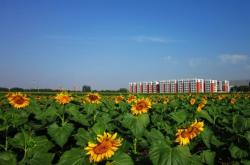 赤峰紅廟子養(yǎng)殖場(chǎng)地址電話號(hào)碼