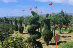 赤峰七彩游樂園電話號(hào)碼