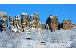 赤峰千合美容院電話地址查詢