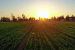 赤峰麥子工作室電話號碼查詢