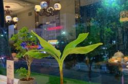 赤峰魚鱉飯店電話多少號碼