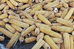 赤峰林西膠粘管廠家電話號(hào)碼