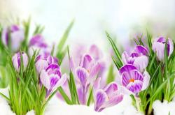 赤峰市紅花溝鎮(zhèn)政府電話(huà)號(hào)碼