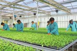 赤峰新士力游泳館電話號碼