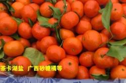 赤峰小酥肉批發(fā)電話地址查詢