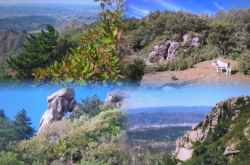 赤峰錦山大席飯店電話號碼多少