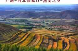 赤峰莜面面粉廠家電話號碼