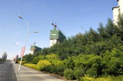 赤峰百合采摘園地址電話號碼