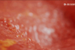 赤峰火腿腸經銷商電話號碼