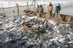 赤峰市東湖漁場電話多少號