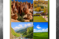 赤峰騎馬團(tuán)購(gòu)電話多少啊